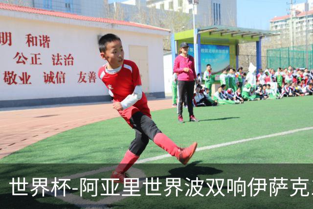 世界杯-阿亚里世界波双响伊萨克1射2传 瑞典5-1突尼斯